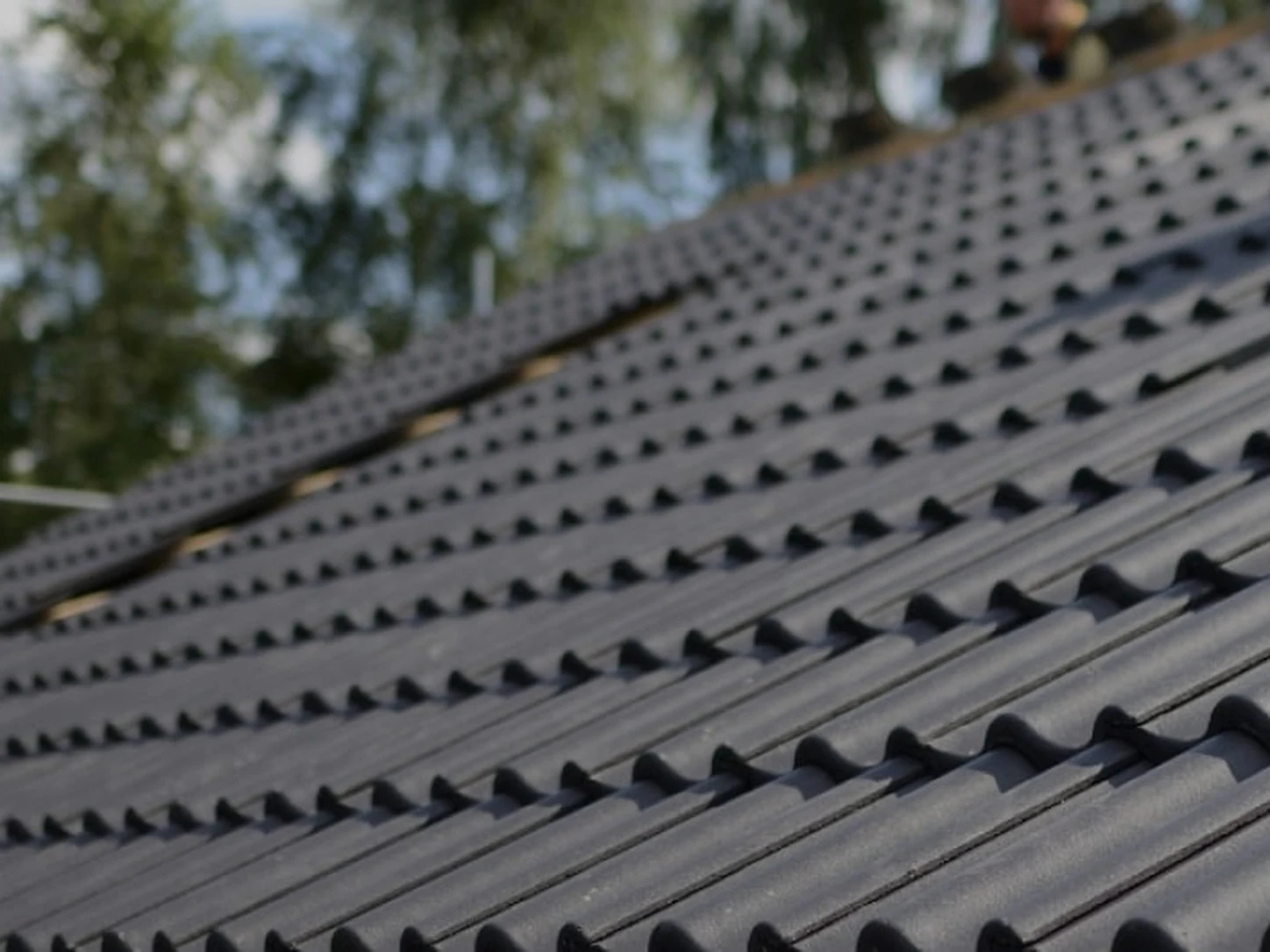 Fascia and Spouting Solutions team on site painting a roof