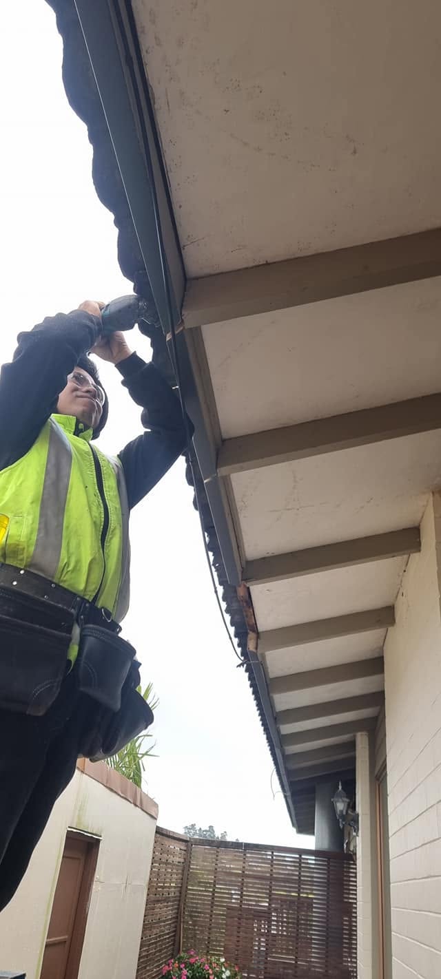 We inspect